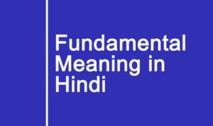 Fundamental Meaning in Hindi