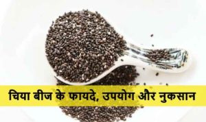 Chia Seeds in hindi